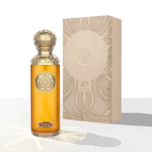 SAVA EDP VENDOR GISSAH