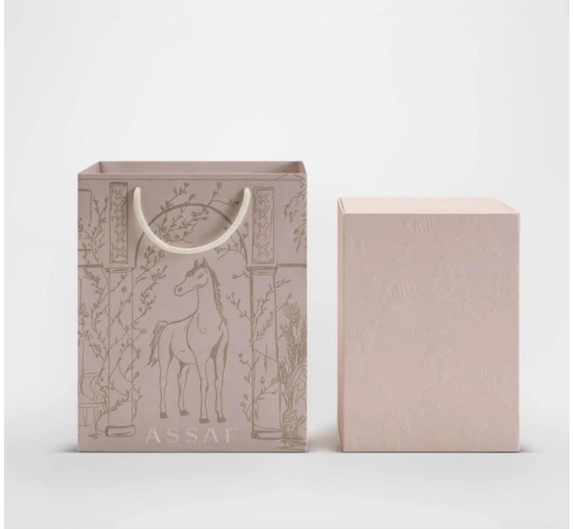 مجموعة بيقاسوس